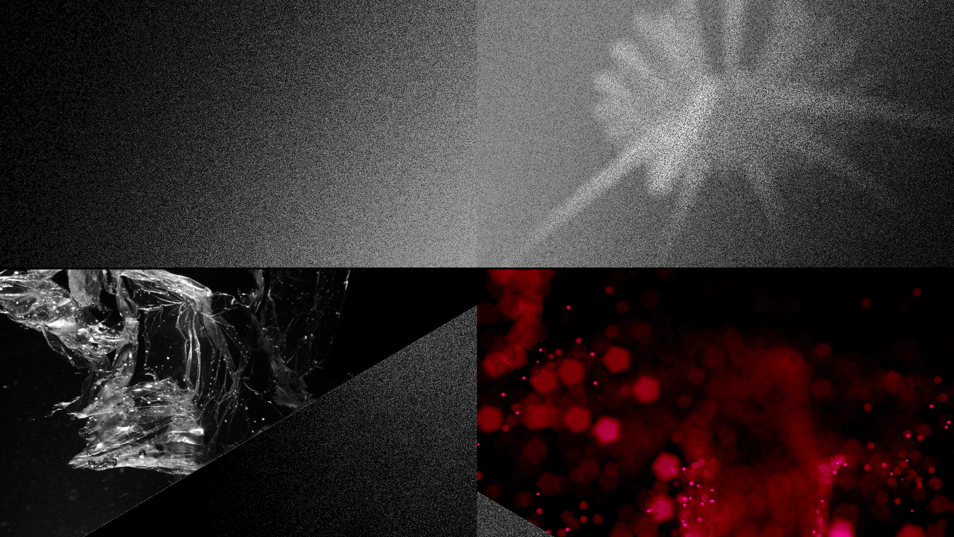 Fragile_Fragments-InstallationCTM-Festival_u-matic_08