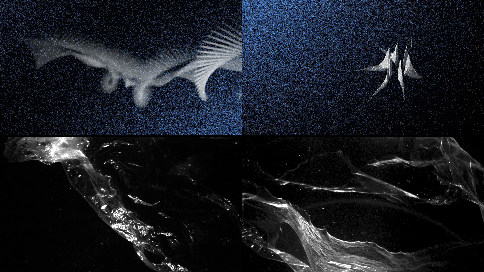 Fragile_Fragments-InstallationCTM-Festival_u-matic_09