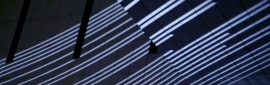 projection-mapping-installation-Dreams_of_the_Nightshades_TodaysArt-Festival